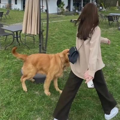女演员大作战